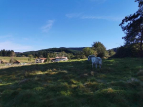 Le Moulin de la Fortie